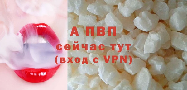 индика Покров