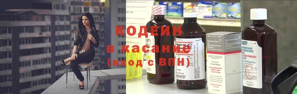индика Покров