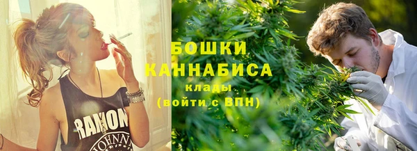 индика Покров