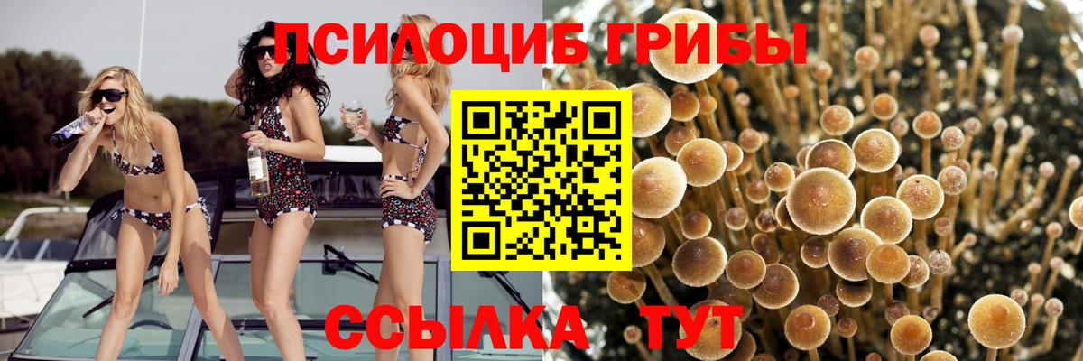 Сыктывкар  Псилоцибиновые грибы ЛСД  купить наркотик  Вход с VPN 